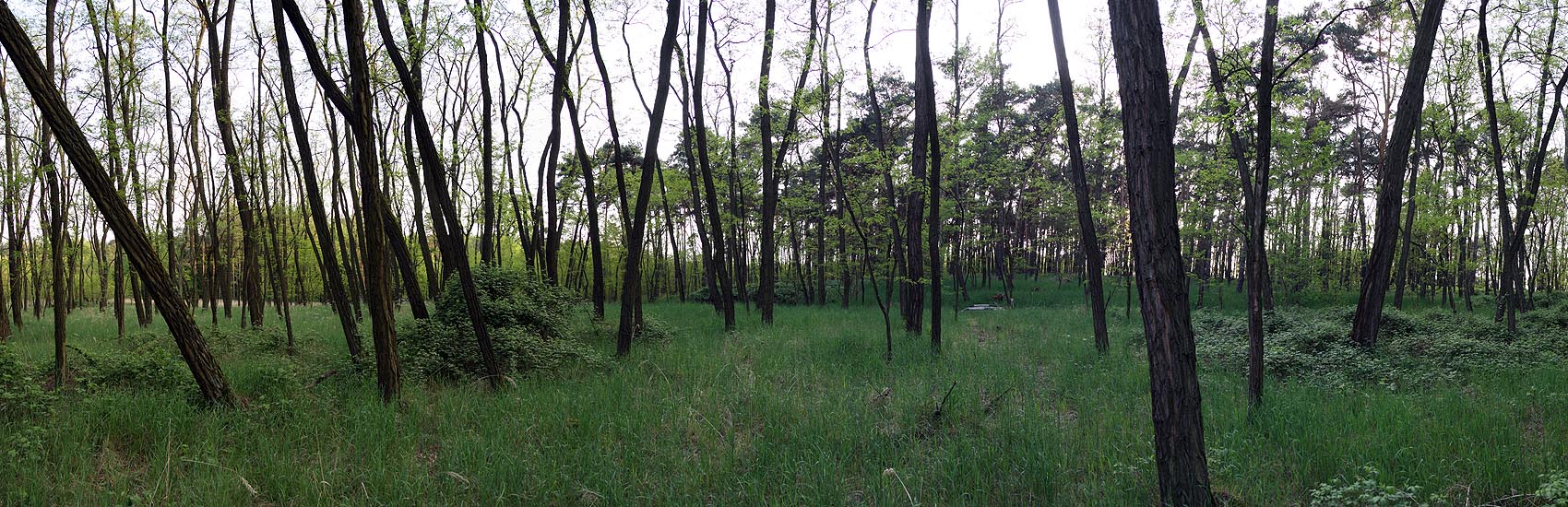 20180503_01_11